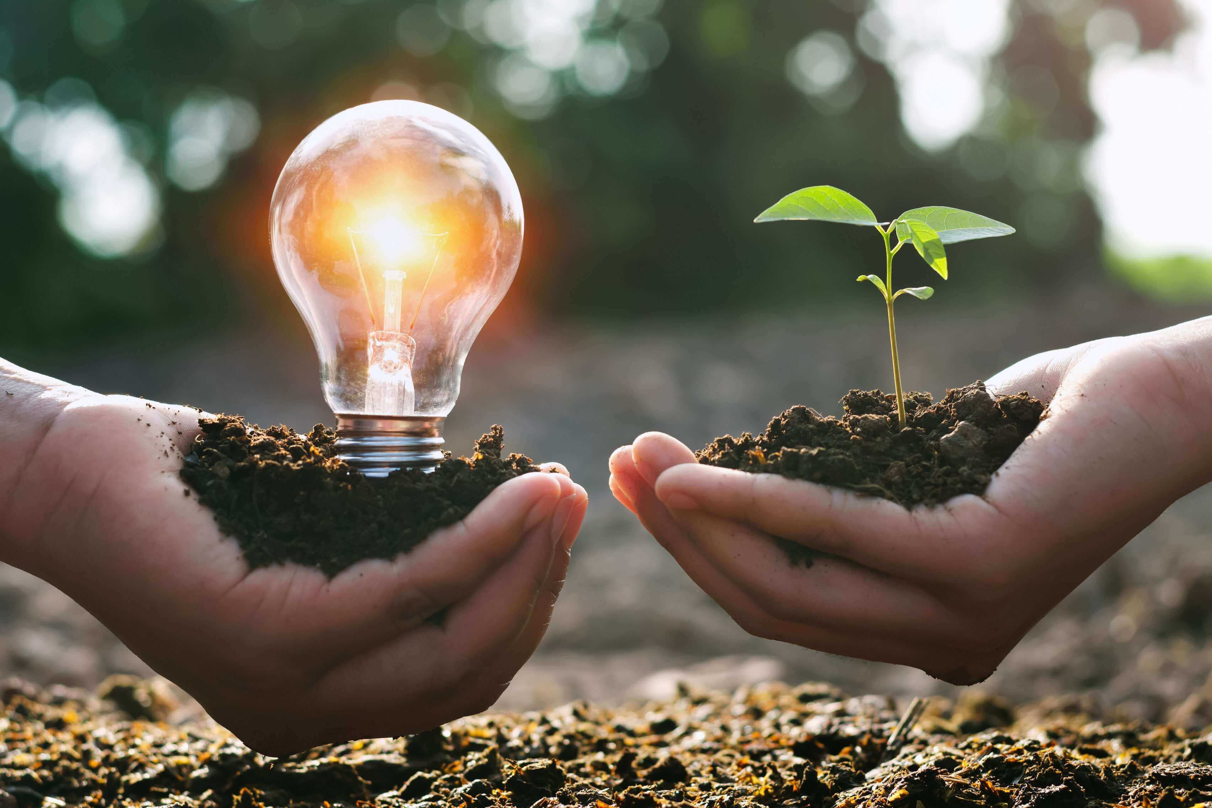 Crecimiento de la energía verde Crecimiento de la energía verde