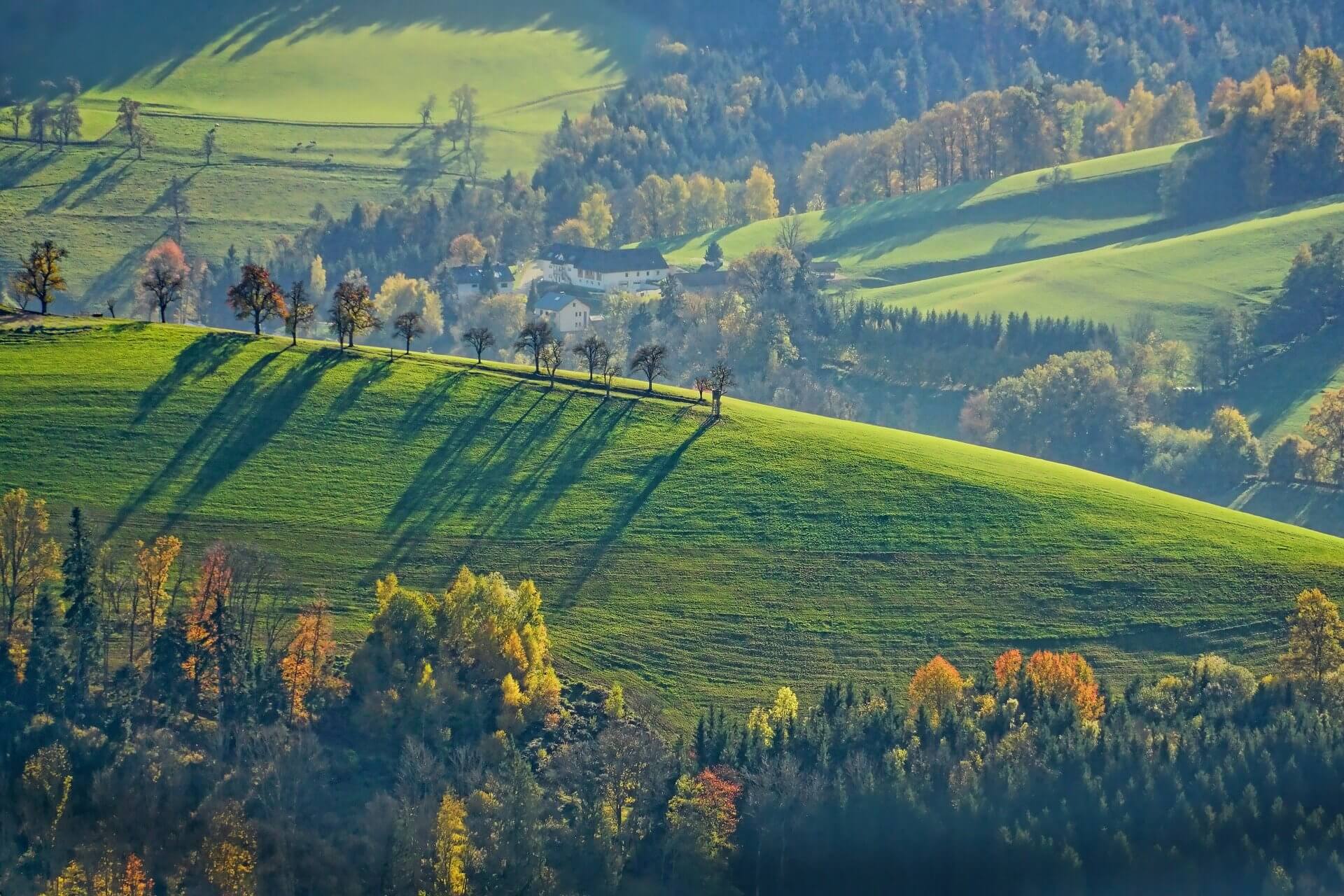 Paisaje verde